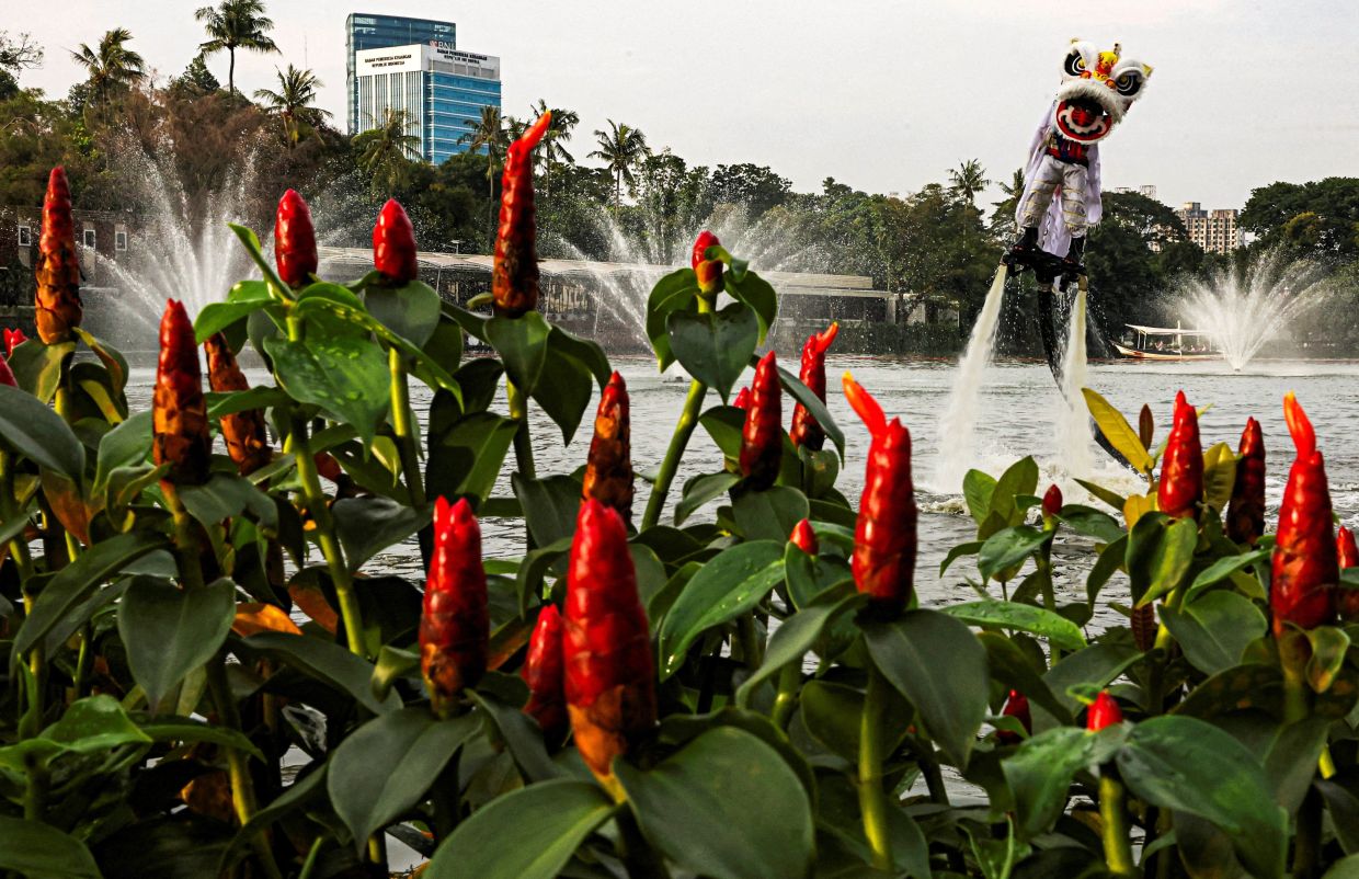 A person uses a flyboard as they perform a lion dance at Senayan Park shopping mall, ahead of the Chinese Lunar New Year, which will welcome the Year of the Horse, in Jakarta, Indonesia. -- Photo: REUTERS/Ajeng Dinar Ulfiana