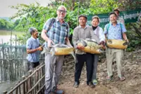 Cambodian authorities discover and protect 25 critically endangered Royal Turtle eggs