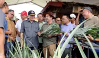 RM560mil to boost Sabah’s food security