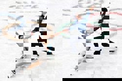 Olympics-Figure skating-Italy's ice dance couple savour Valentine's Day at home Games