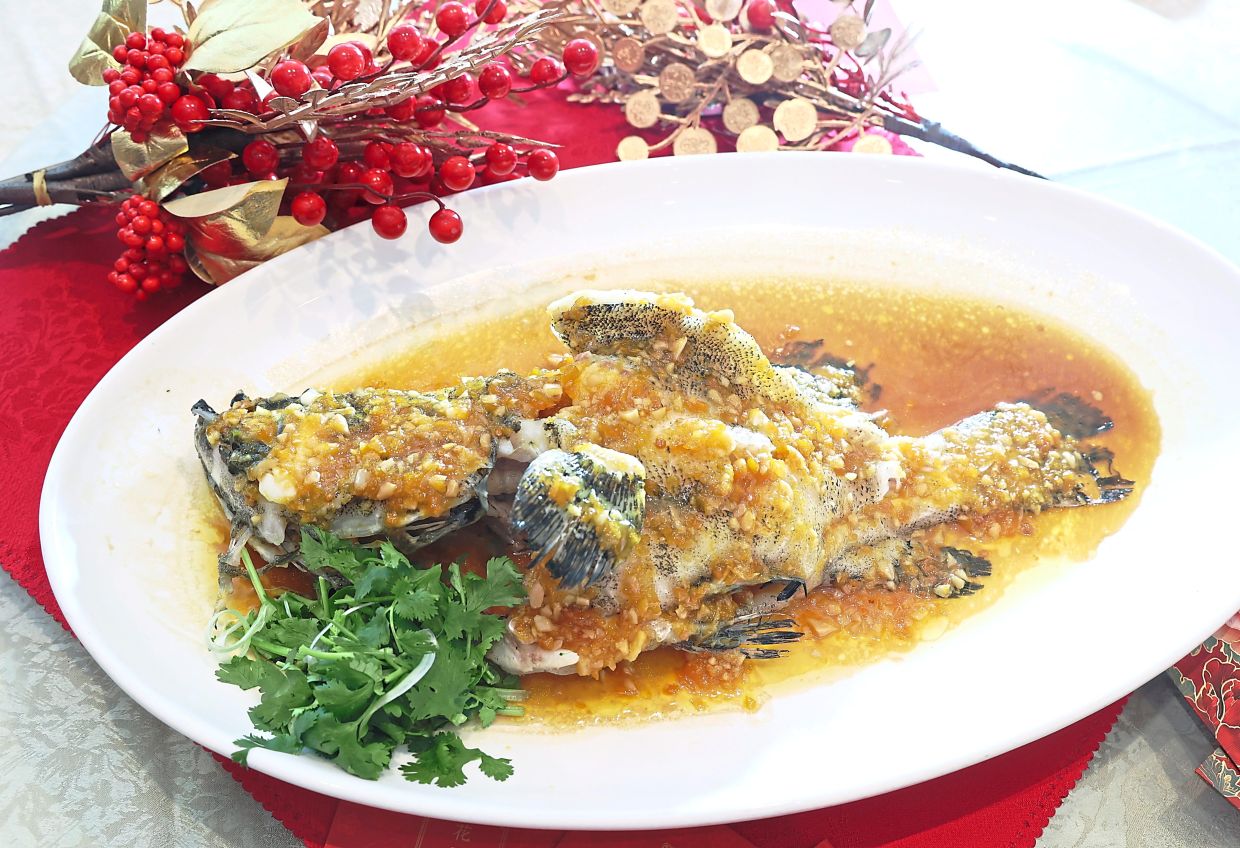 Steamed tiger grouper with yellow lantern chilli sauce.