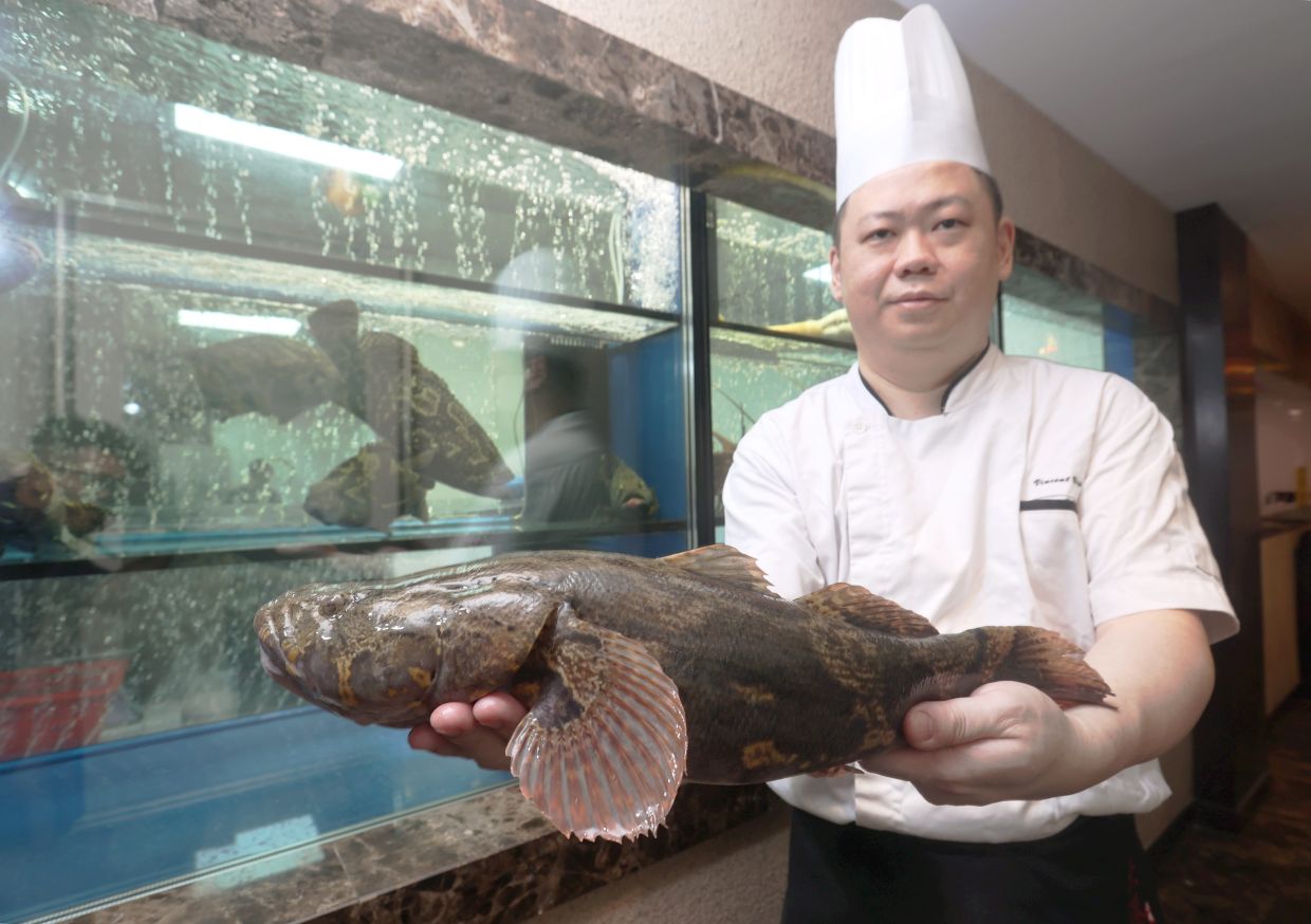 Fish is a crucial component in the annual CNY reunion dinner, says Yip. The belief is that the bigger the fish, the better the prosperity and abundance for the coming year.    