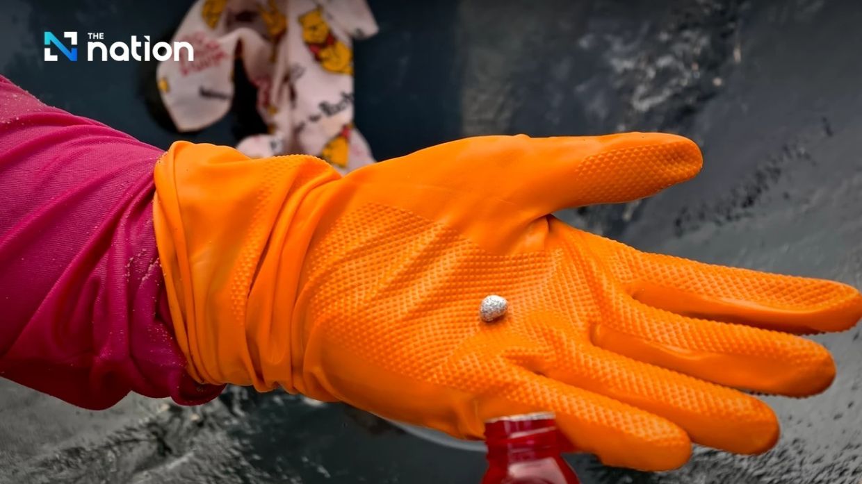 Low level of Mekong River draws Nong Khai villagers to pan for gold