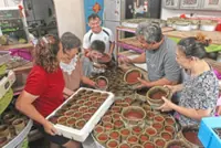Keeping grandma’s nian gao recipe alive