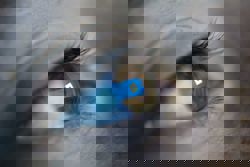 She’s 8 and on Roblox – so are predators. These high schoolers in the US are sending a warning