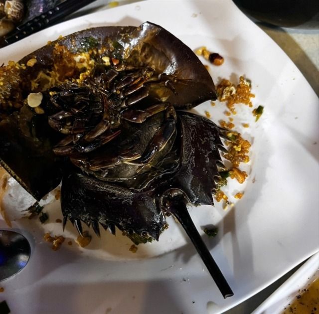 Seafood poisoning probe launched after diners hospitalised in Ca Mau, Vietnam
