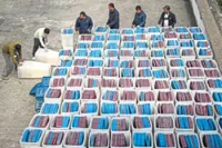 Campaign season in full swing