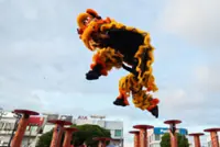 Galloping into the New Year