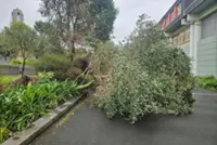 New Zealand floods kill one, leave thousands without power