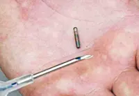 Govt's pet microchipping project needs proper system, enforcement to be effective, says group