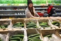 In Russia, the humble cucumber becomes latest symbol of rising wartime prices