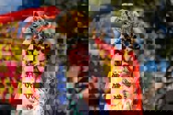 China celebrates New Year with huge gala, heralding Year of the Horse