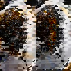 Seafood poisoning probe launched after diners hospitalised in Ca Mau, Vietnam