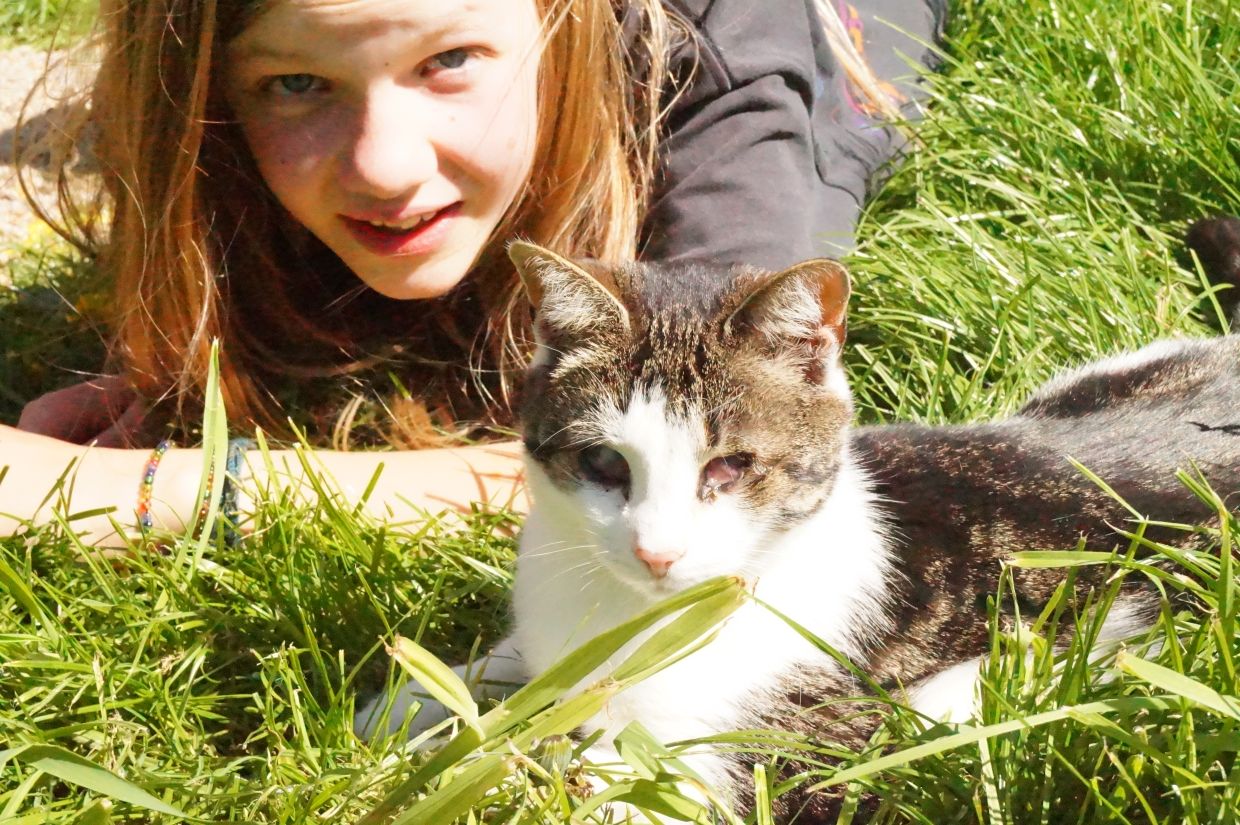 What to know if you want to adopt a blind cat