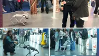 Galgotias University asked to vacate India's AI Summit stall after China-made robodog row; professors cite ‘misinterpretation’