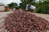 Exclusive-Ivory Coast considers following Ghana with cocoa price cut, sources say
