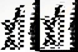 Saudi's Humain invested $3 billion in xAI's Series E funding round