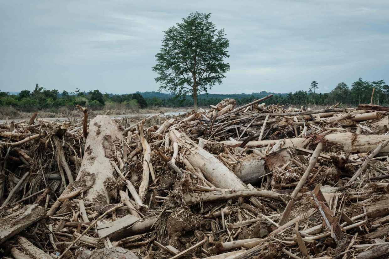 Deadly Indonesia floods force a deforestation reckoning