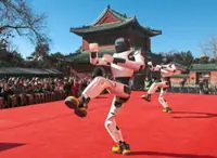 Robots rocking into the Lunar New Year