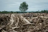 Deadly Indonesia floods force a deforestation reckoning