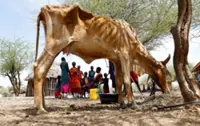 Drought deepens hunger in northern Kenya as aid cuts bite