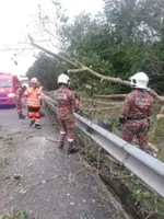 Motorcyclist hurt after crashing into fallen tree