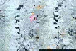 Embrace the cold of winter and go canyoning in Switzerland 