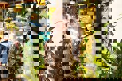 Actress Sophia Albarakbah to sell fresh pandan coconut water at Ramadan bazaar