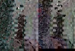 UK police arrive at home of King Charles' brother Andrew, Telegraph reports