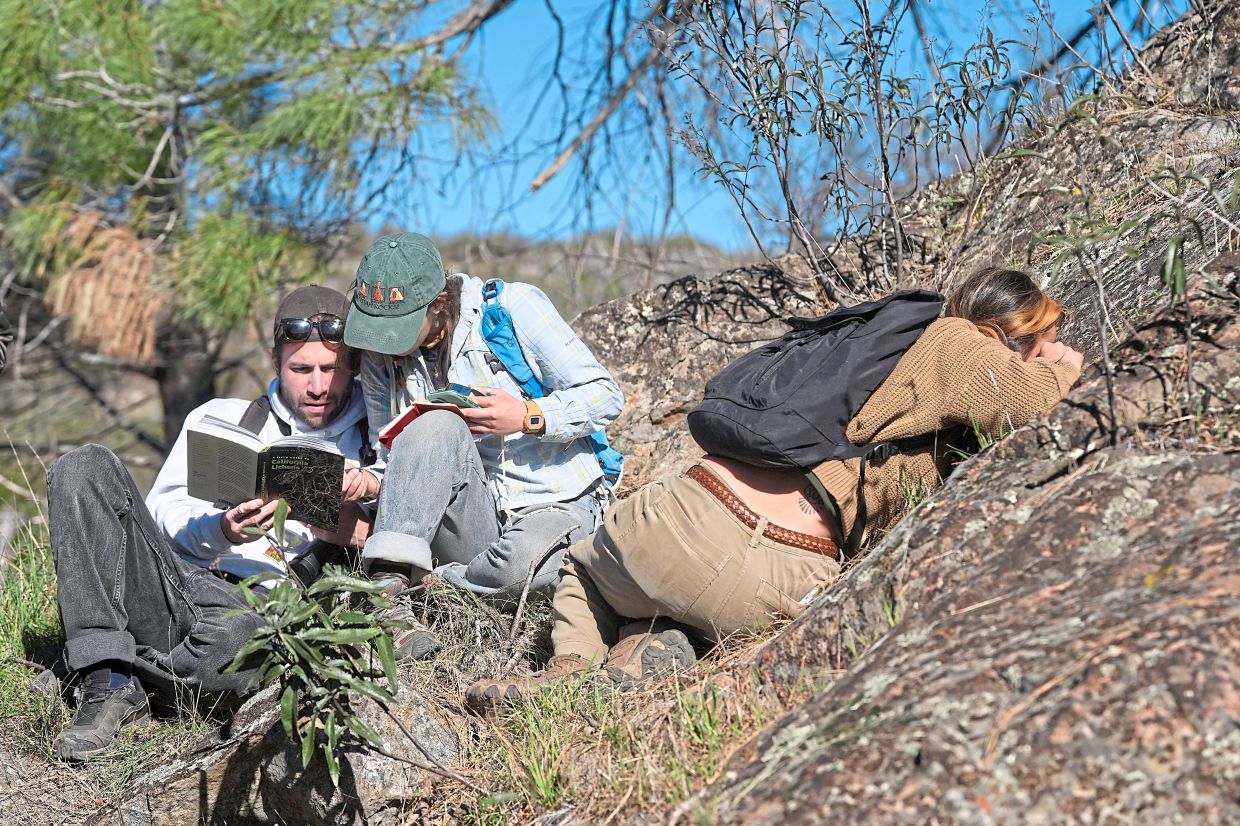 University of California, Berkeley students taking part in a California Lichen Society field trip.