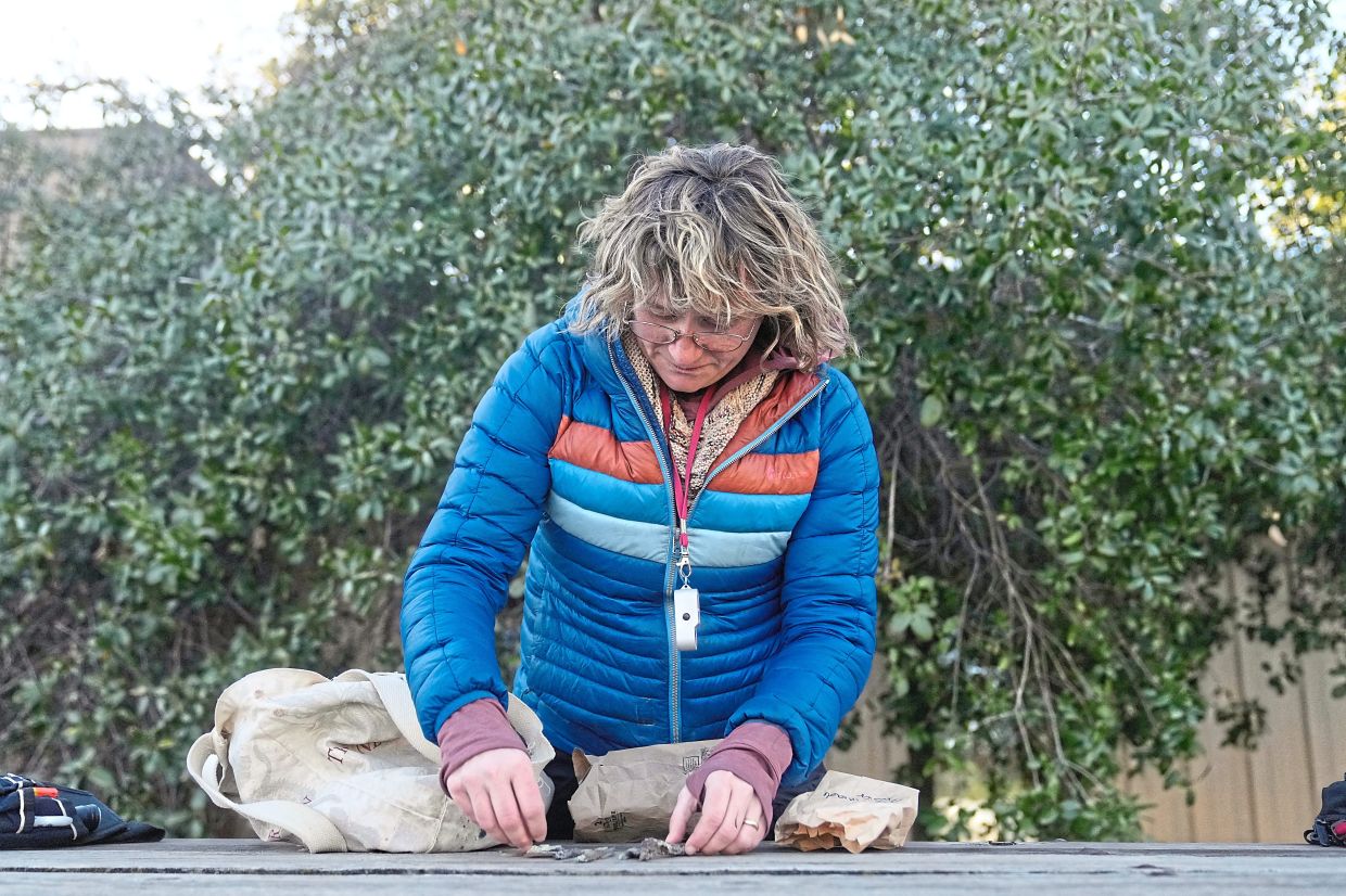 Allen arranging some of the lichen found.