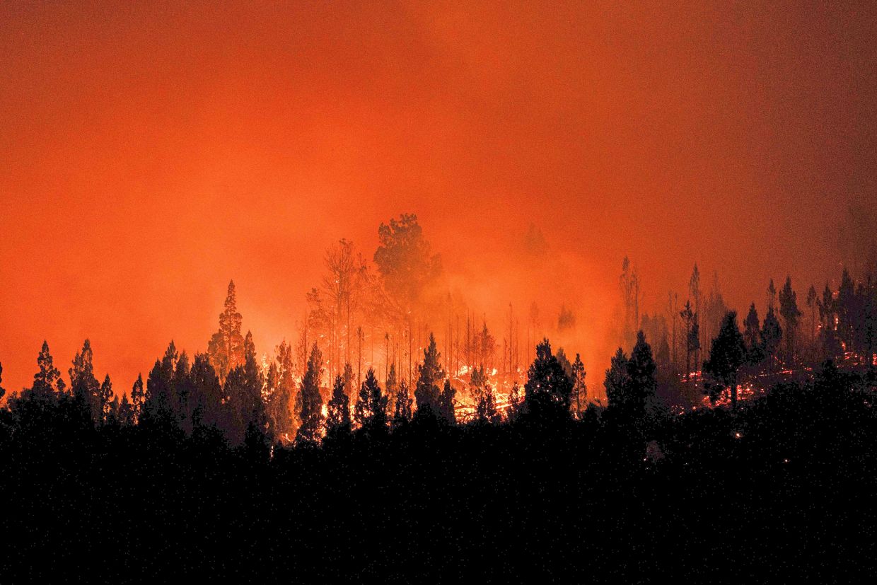 A forest fire burning in the mountains of the rural area of Epuyen in Argentina, early this month. — AFP