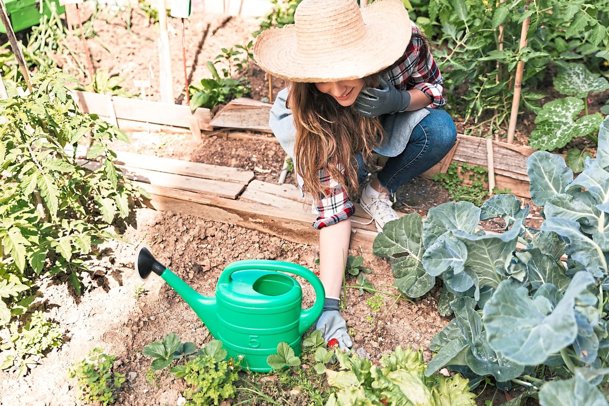 Vegetable gardens benefit the surrounding ecosystem by adding diverse plant life, especially where they replace grass or cover a deck or patio.