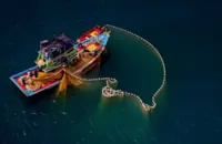 Fisheries Act amendment to strengthen marine mammal conservation