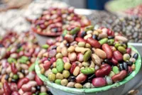 Affordable and delicious, beans are the most universal source of protein