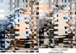 Seasonal boost pushes Brunei business sentiment into positive territory