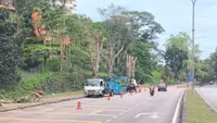 Statewide checks after Shah Alam tree-fall incident 