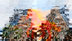 A Horse you can bet on 