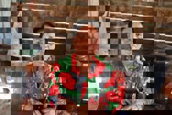 OPINION - ‘I dream he is looking for his phone’: Cambodian mother recalls how Thai shell killed her 13-year-old son