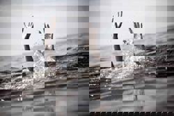 Body of drowned Chinese national found