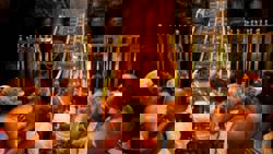 Former Goa governor says he advised Thantri to close Sabarimala temple during 2018 women’s entry row