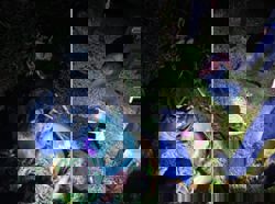 Man nabbed while trying to steal railway cables between Kempas Baru, Kulai