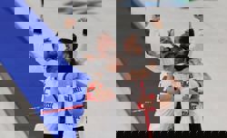 Olympics-Curling-Swiss harness linguistic chaos on ice to win Olympic bronze