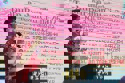 DAP members, leaders must respect outcome of special congress, says Chow