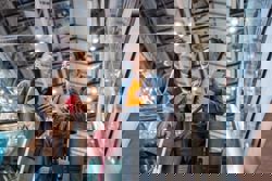 Japan issues travel alert for over 50 countries amid Middle East escalation and issues