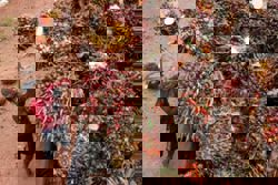 Indonesia president says ready to face all possibilities after US Supreme Court rejects Trump's global tariffs