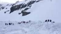 California avalanche: All nine victim bodies recovered