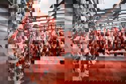 Brazil races to China beef cap as 55% tariff risks price collapse