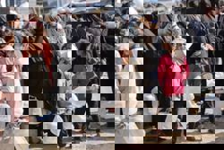 Arab, Muslim countries slam US ambassador's remarks on Israel's right to Mideast land