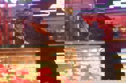 Chinese ‘aunties’ lead gold buying boom